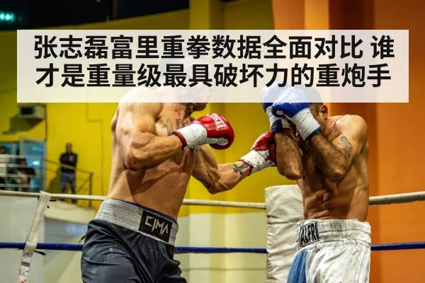 张志磊富里重拳数据全面对比 谁才是重量级最具破坏力的重炮手