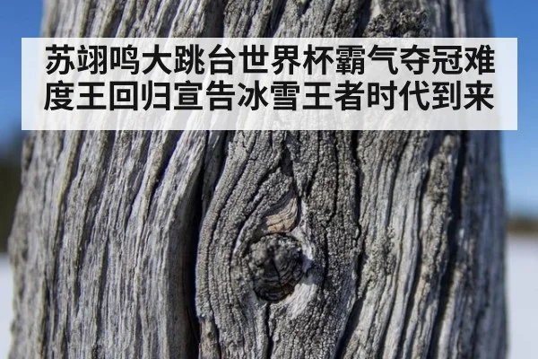 苏翊鸣大跳台世界杯霸气夺冠难度王回归宣告冰雪王者时代到来