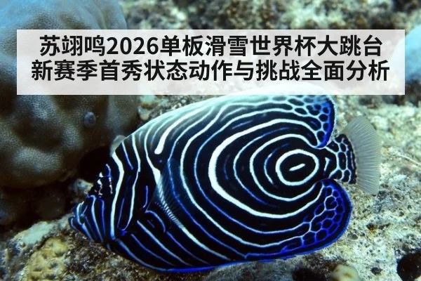 苏翊鸣2026单板滑雪世界杯大跳台新赛季首秀状态动作与挑战全面分析